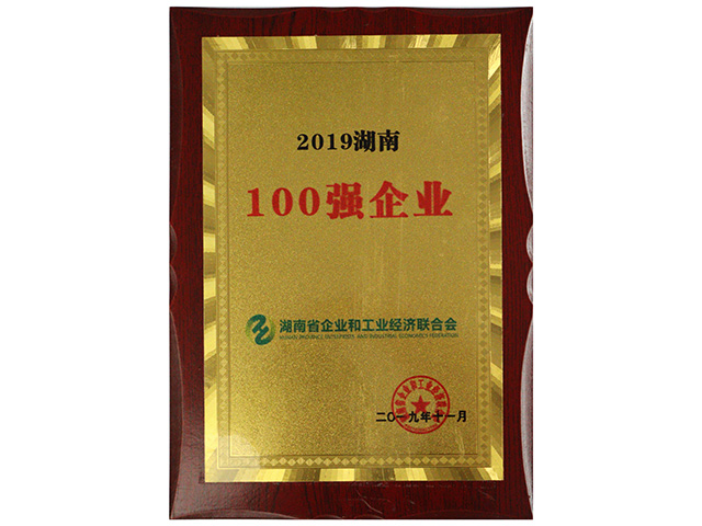 2019湖南100强企业